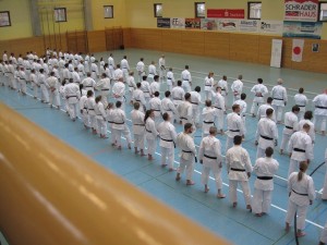 Karatelehrgang Ochi  16012016 026