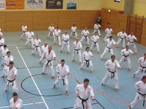 Karatelehrgang Ochi  16012016 028