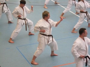 Karatelehrgang Ochi  16012016 032