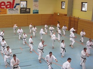 Karatelehrgang Ochi  16012016 048