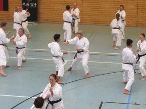 Karatelehrgang Ochi  16012016 073