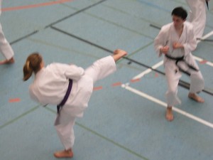 Karatelehrgang Ochi  16012016 087