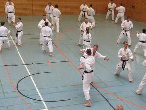 Karatelehrgang Ochi  16012016 062