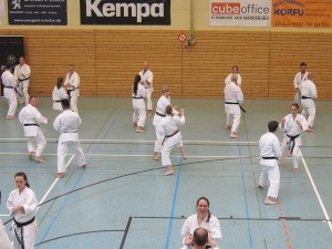 Karatelehrgang Ochi  16012016 064